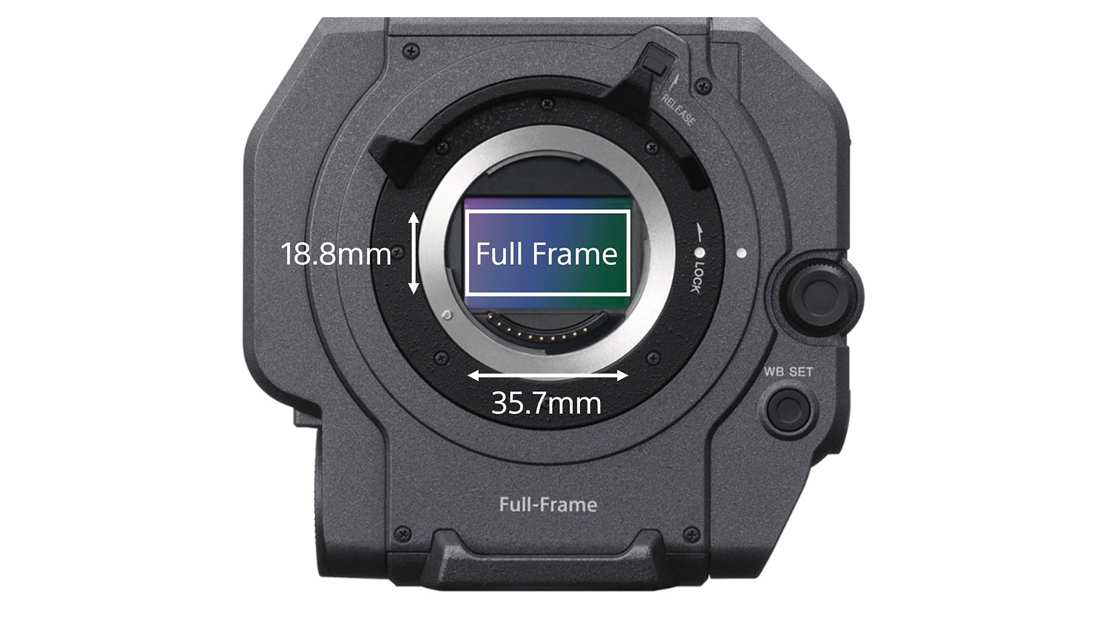 sony fe to canon ef adapter