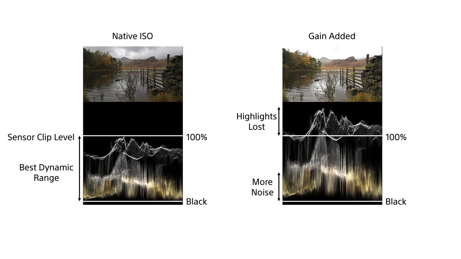 sony fx3 dual native iso