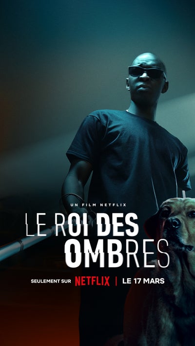 Le Roi des Ombres