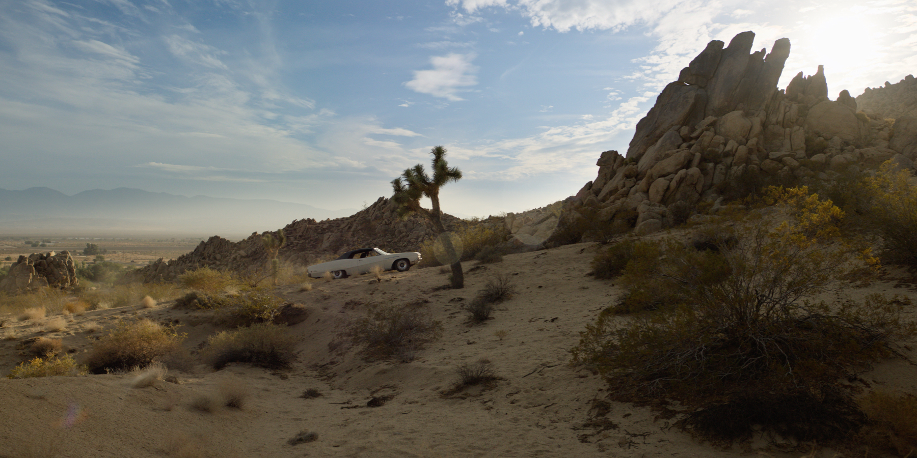 section-header-imageQuality.jpg