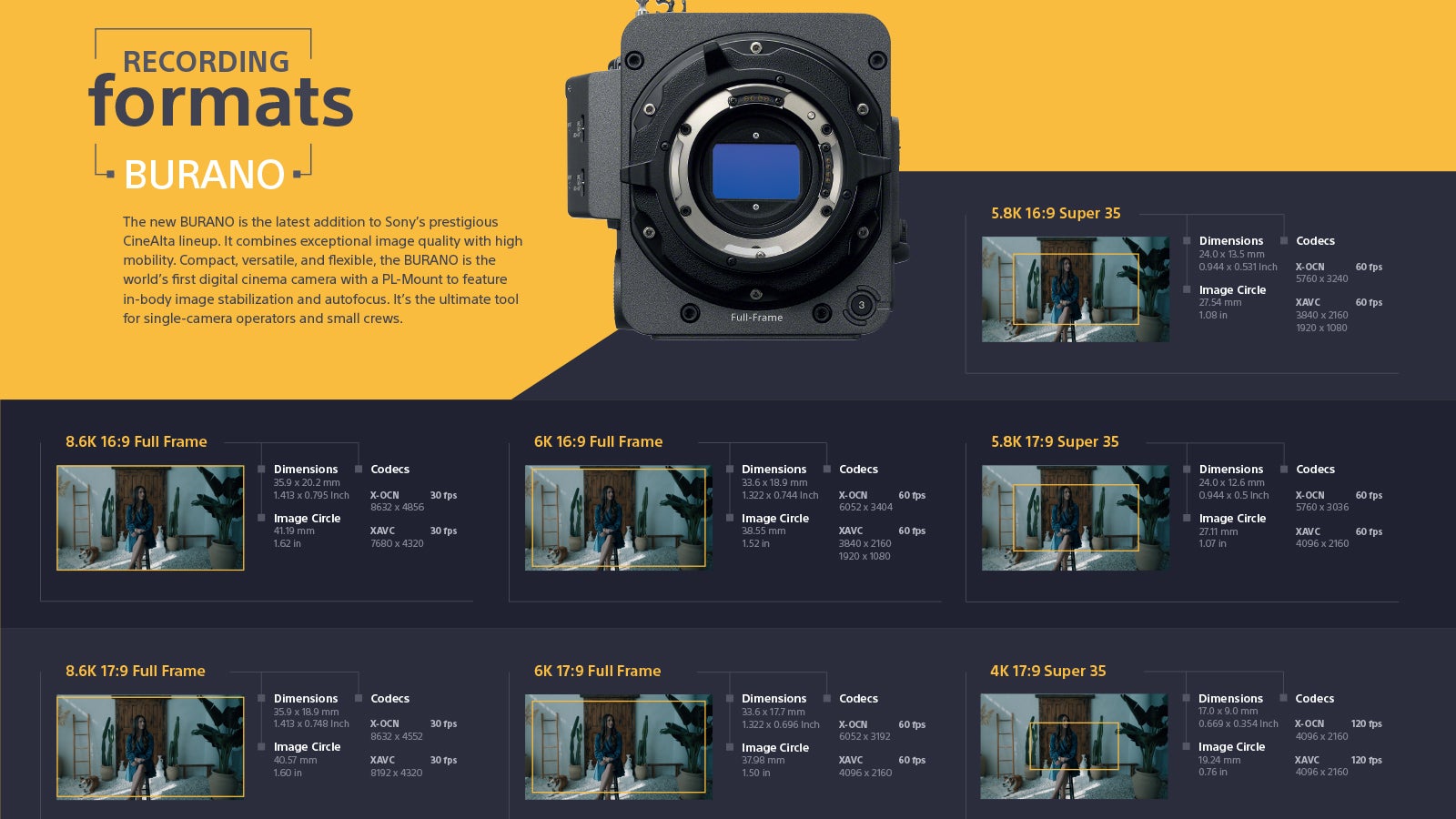 Article hero image